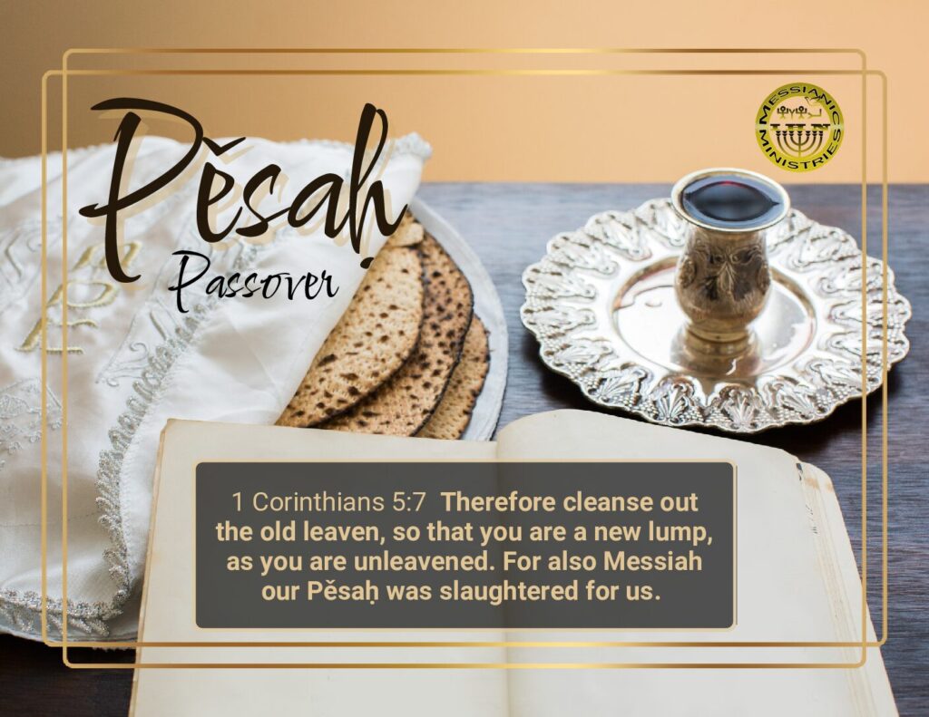 thumbnail of Pesach FAQs