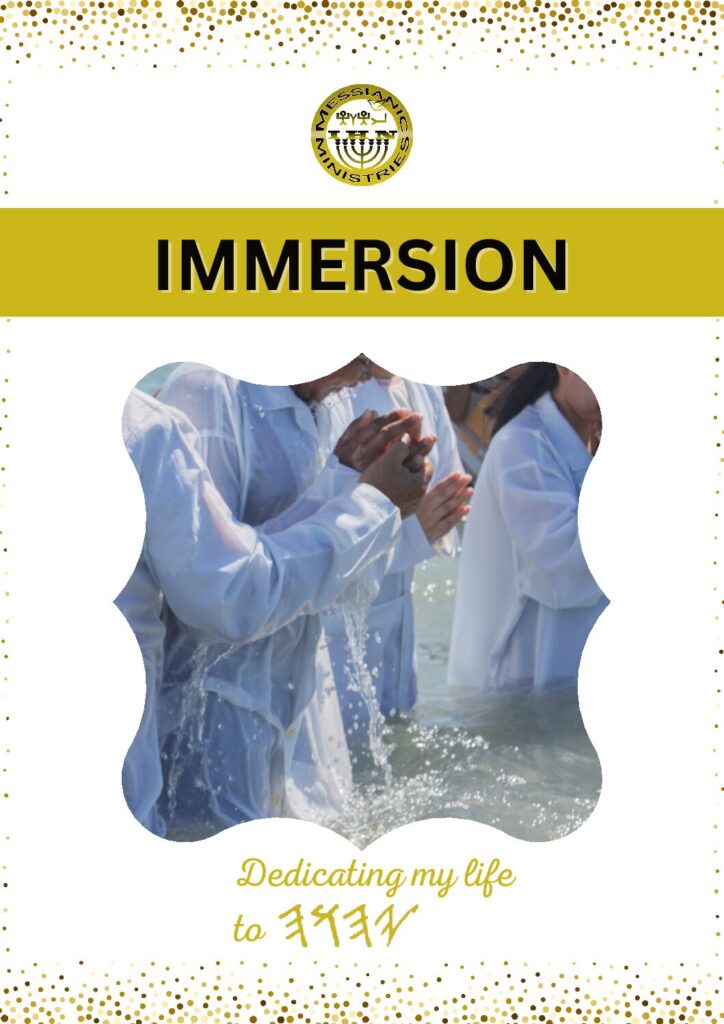 thumbnail of Immersion