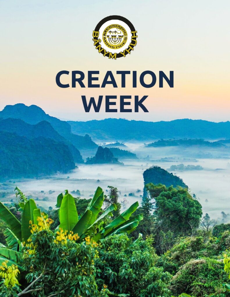 thumbnail of Creation Week