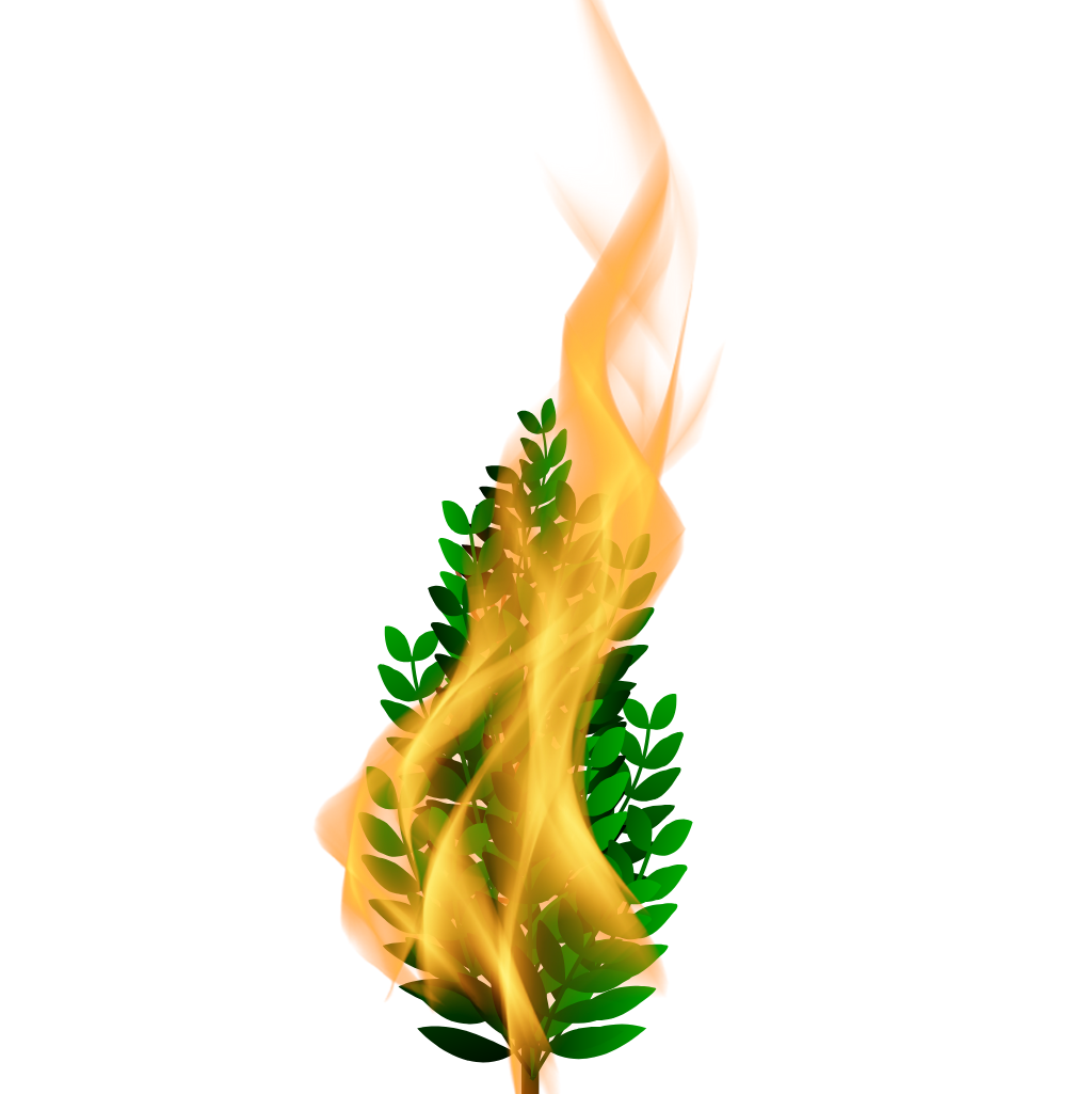 The Great I AM: Who do you say that I am?