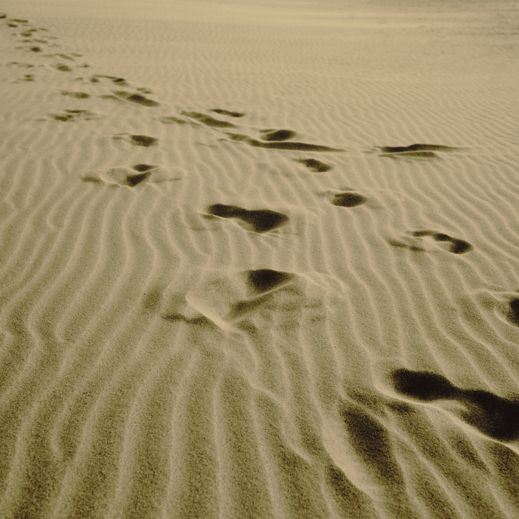 40 Steps to Messiah: Key Principles for a Blessed Life