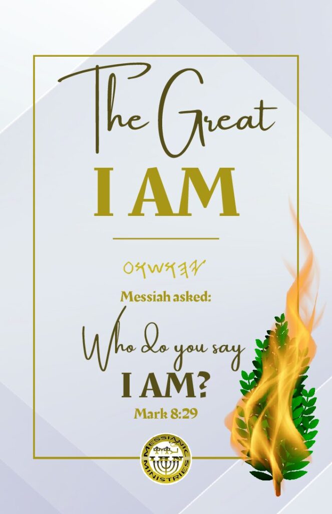 thumbnail of THE GREAT I AM